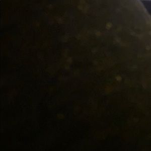 Meet your Posher, Garrett